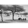 Poussières: dérèglement climatique au Tchad
