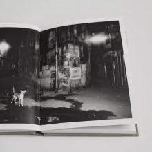 Edition spéciale Belonging