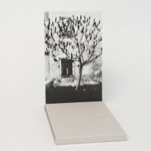 One Tree