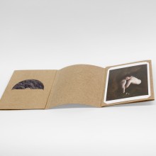 Limited casket of the short movie "Lutte au Crépuscule"