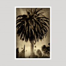 Los Angeles, Smoke & Mirrors by Guillaume Zuili