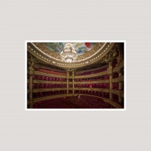 In Situ by Pierre-Elie de Pibrac