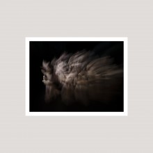 In Situ by Pierre-Elie de Pibrac