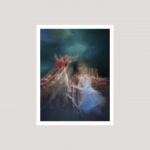 In Situ by Pierre-Elie de Pibrac