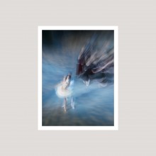 In Situ by Pierre-Elie de Pibrac