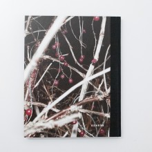 Monika Macdonald In absence
