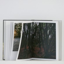 Les Chemins égarés