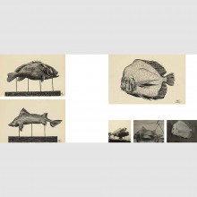 Catalog exhibition Anita Conti - Loustal