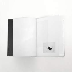 Universos