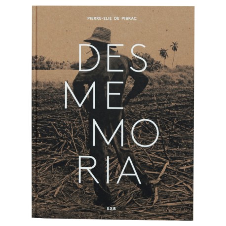 Desmemoria