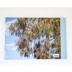 LES PASSAGERS — Christophe Bourguedieu