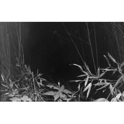 Terres basses
