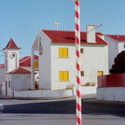 The Monkey Who Looked at the Star