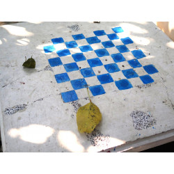 The Monkey Who Looked at the Star