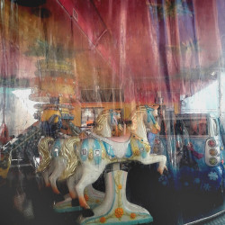 The Monkey Who Looked at the Star