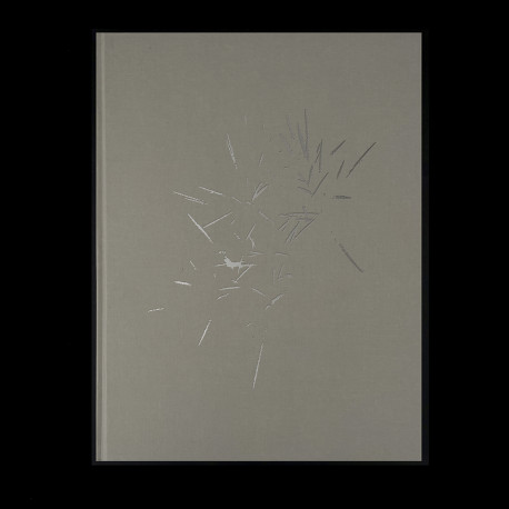 On nous a dit qu'il n'y avait rien et nous sommes allés le chercher