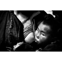 After the Dzud – Mongolia, 2010