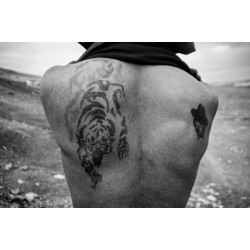After the Dzud – Mongolia, 2010