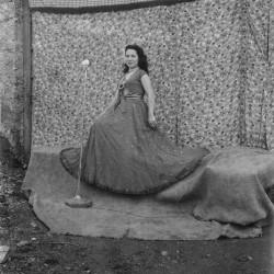 Album, Virxilio Vieitez