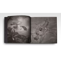 Special edition CAÍN