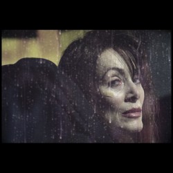 Limited edition Traffic