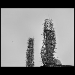 Edition spéciale Etiopia