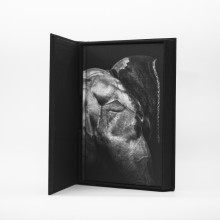 Edition spéciale D'Entre Eux, Cédric Gerbehaye