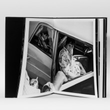 Edition spéciale D'Entre Eux, Cédric Gerbehaye