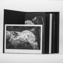 Edition spéciale D'Entre Eux, Cédric Gerbehaye