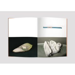 Un gant, un hachoir, une plume , Magali Lambert