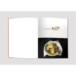 Un gant, un hachoir, une plume , Magali Lambert