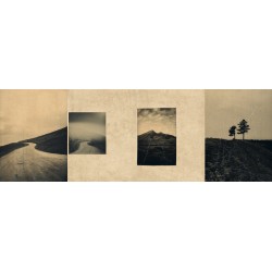 El vuelo lleva al vuelo