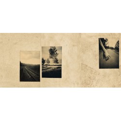 El vuelo lleva al vuelo