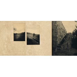 El vuelo lleva al vuelo