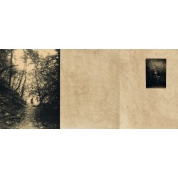 El vuelo lleva al vuelo