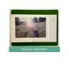 SOLSTICE - IIe édition - claudine doury