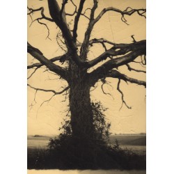 Petit traité de l'incertitude, Juanan Requena