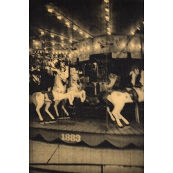 Petit traité de l'incertitude, Juanan Requena