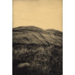 Petit traité de l'incertitude, Juanan Requena