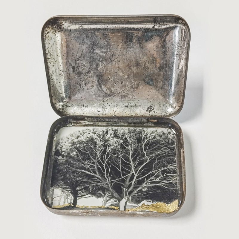 Vintage Box Series,  Isabelle Levistre