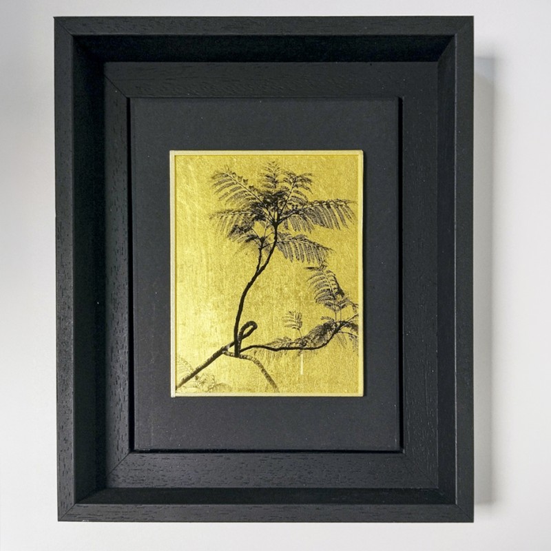 Vintage Box Series,  Isabelle Levistre