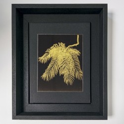 Vintage Box Series,  Isabelle Levistre