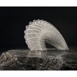 Emmanuel Di Giacomo - The Protecting HedgeHogs, 2013