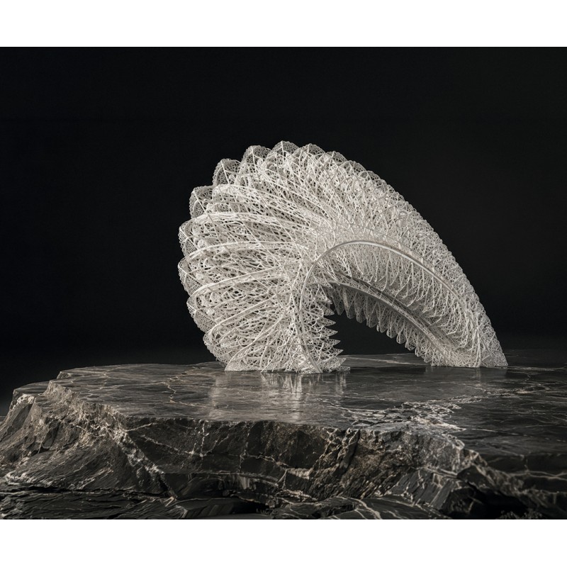 Emmanuel Di Giacomo - The Protecting HedgeHogs, 2013