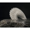 Emmanuel Di Giacomo - The Protecting HedgeHogs, 2013