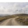 Emmanuel Di Giacomo - Camera Field, 2011
