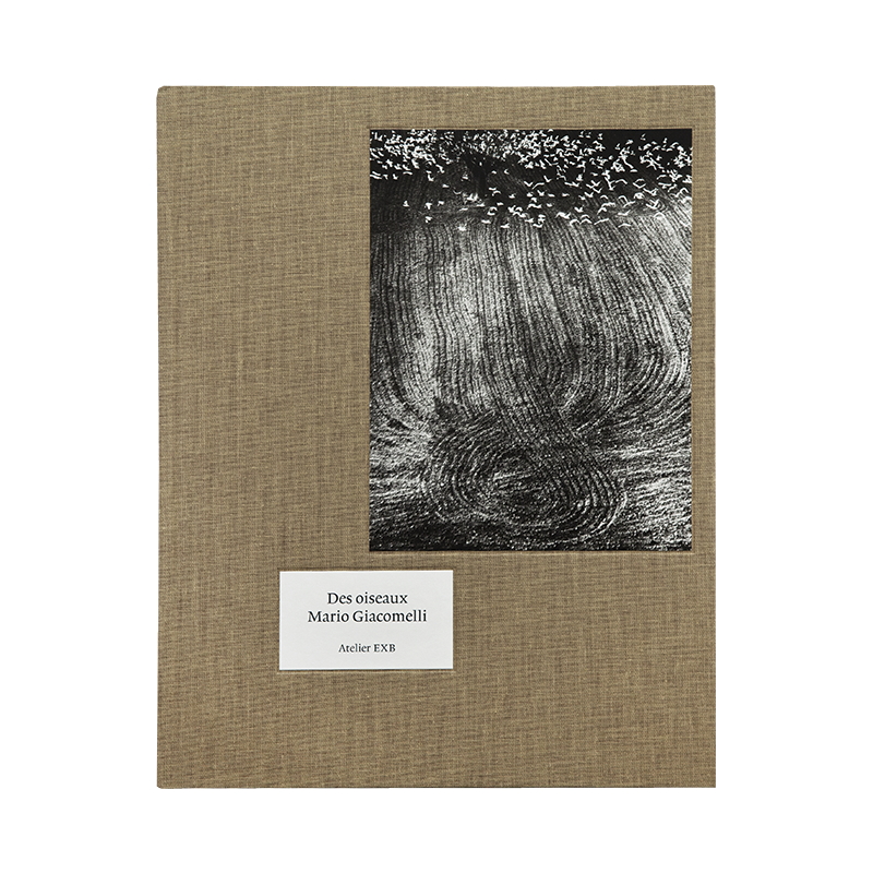 Des oiseaux Mario Giacomelli